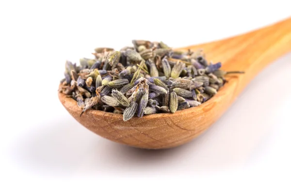 Dried lavender organic tea — Stock Photo, Image