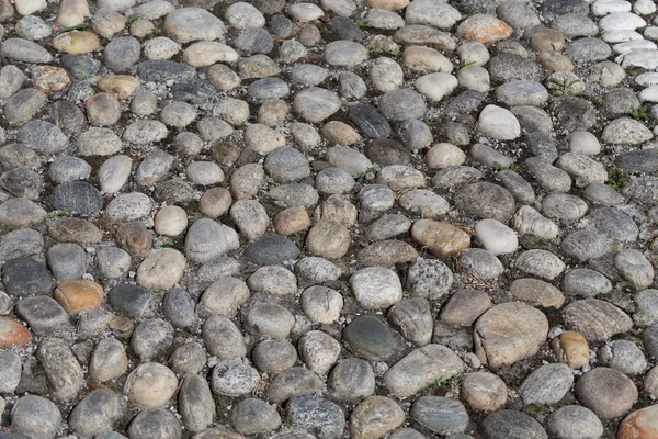 Round stones in the ground