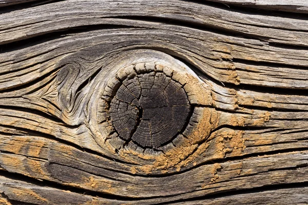 Detalle de fondo de madera vieja y seca —  Fotos de Stock