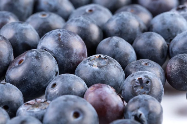 Blueberries on white background