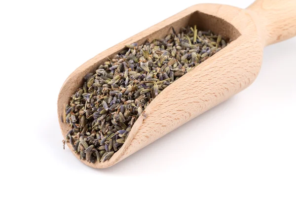 Chá orgânico de lavanda seca — Fotografia de Stock