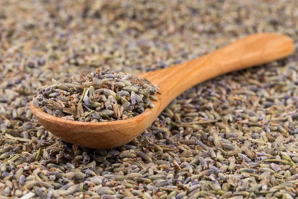 Tè biologico alla lavanda secca — Foto Stock