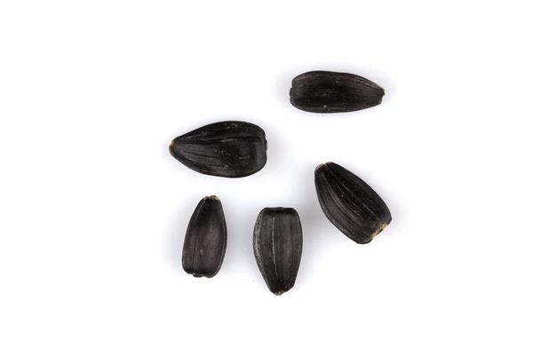 Купа насіння чорних соняшників — стокове фото
