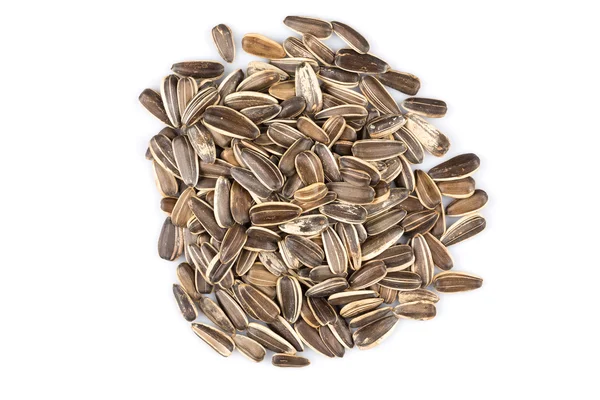 Pila de semillas de girasol —  Fotos de Stock