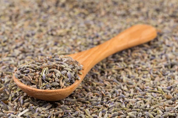 Chá orgânico de lavanda seca — Fotografia de Stock