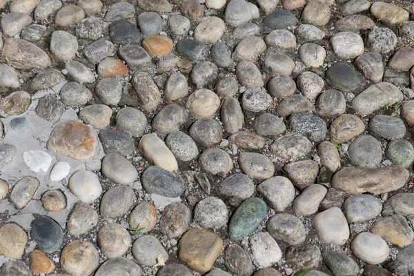 Round stones in the ground