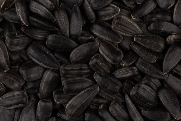 블랙 해바라기 씨앗의 힙 — 스톡 사진
