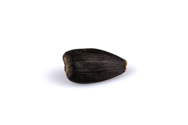 黒いひまわりの種のヒープ — ストック写真
