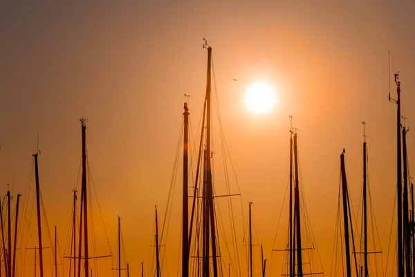 Fileiras de barcos mastro — Fotografia de Stock