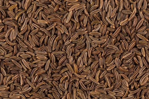 Close up caraway seeds — Stock Photo, Image