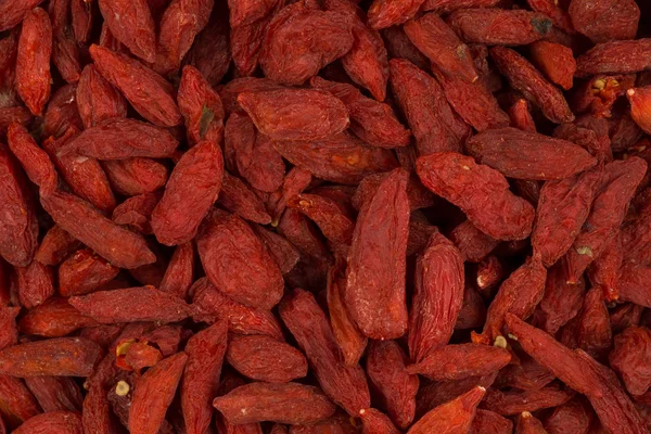 Bayas de Goji de cerca — Foto de Stock