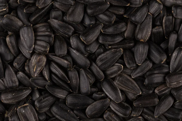 Heap de sementes de girassol preto — Fotografia de Stock
