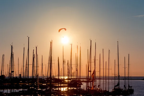 Sunset paragliding over yachts — Stock Photo, Image