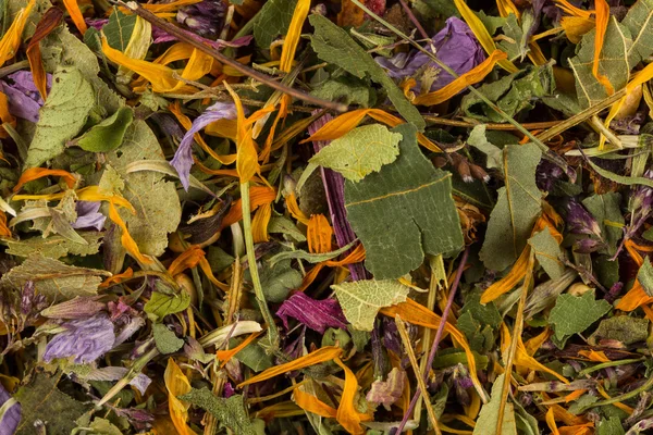 Szárított gyógynövény tea levelek — Stock Fotó