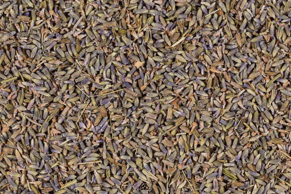 Tè biologico alla lavanda secca — Foto Stock