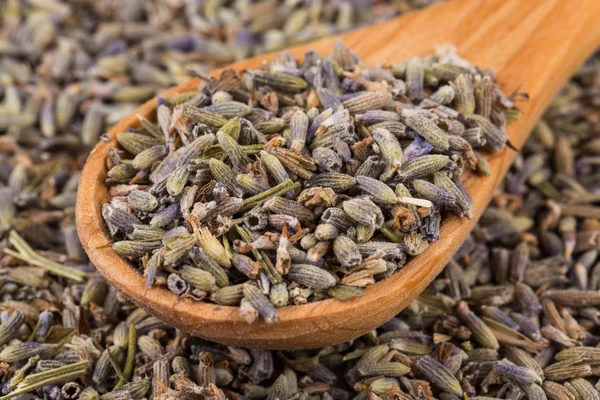 Getrockneter Lavendel Bio-Tee — Stockfoto