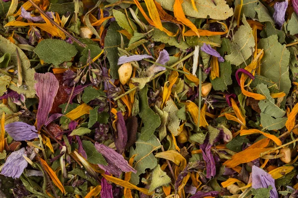 Dried herbal tea leaves — Stock Photo, Image