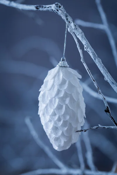 Cône arbre de Noël — Photo