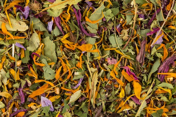 Szárított gyógynövény tea levelek — Stock Fotó