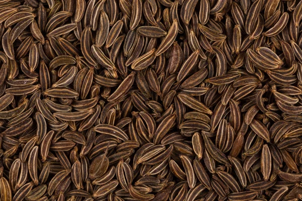 Close up caraway seeds — Stock Photo, Image