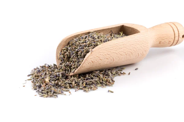 Dried lavender organic tea — Stock Photo, Image