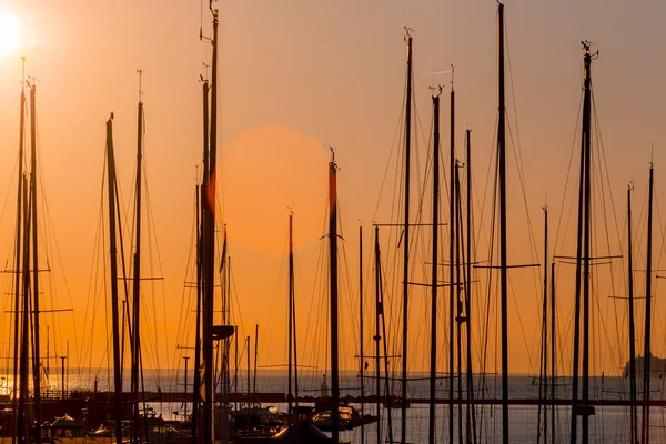 Rows of boats mast — Stock Photo, Image