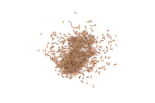 Montón de semillas de alcaravea seca — Foto de Stock