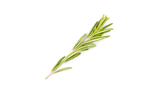 Rosemary Herb Close Isolated White Background — Stock Photo, Image