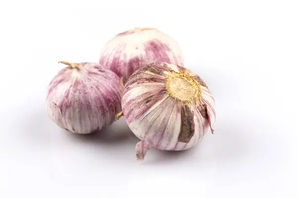 Knoblauch Aus Nächster Nähe Isoliert Auf Weißem Hintergrund — Stockfoto