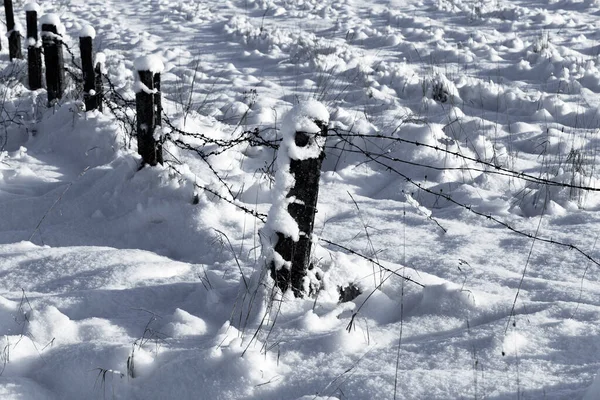 Prikkeldraad Hek Met Sneeuw Zwart Wit Foto — Stockfoto