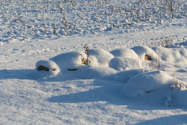 Steine Auf Der Schneewiese Ländliches Winterfeld — Stockfoto