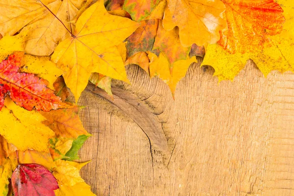 Red Yellow Wet Autumn Leaves Background Dark Old Wood — Stock Photo, Image