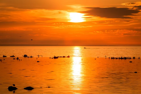 Boot bij zonsondergang — Stockfoto