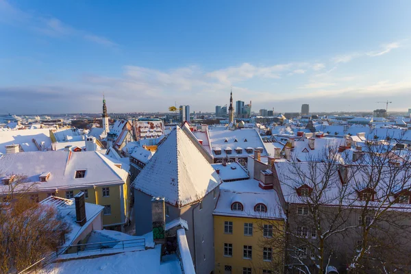 Tallinn no inverno — Fotografia de Stock