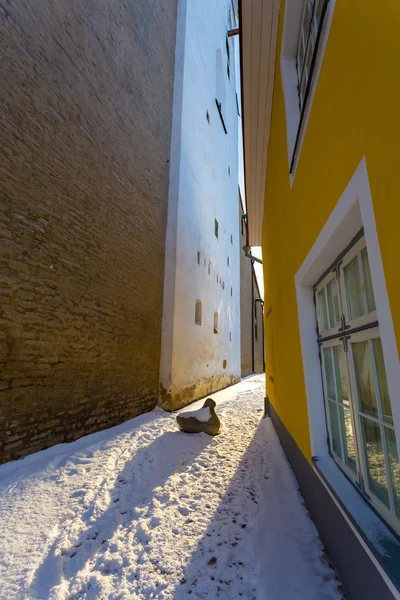 Rua na parte velha da cidade de Tallinn — Fotografia de Stock