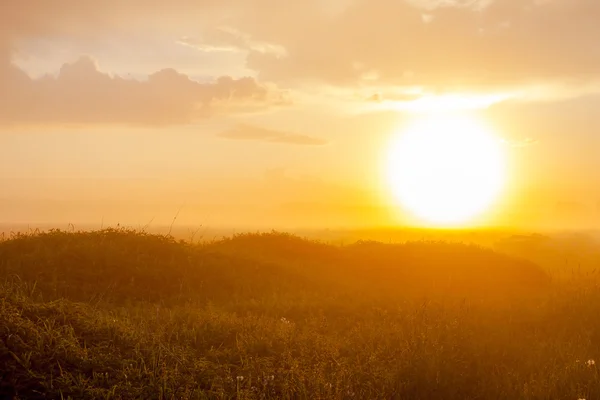 Foggy meadow at sunset — Stock Photo, Image