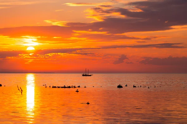 Navio alto navegando ao longo do horizonte — Fotografia de Stock