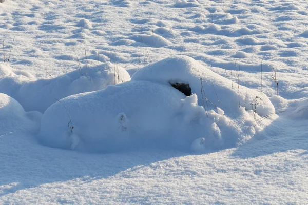 Kamienie na łąka śnieg — Zdjęcie stockowe
