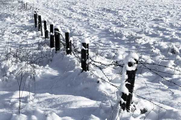 Ogrodzenia z drutu kolczastego ze śniegu — Zdjęcie stockowe