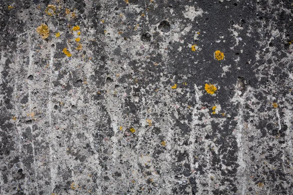 Concrete Texture Background — Stock Photo, Image