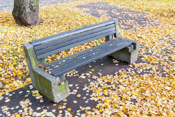 秋の公園への道 — ストック写真