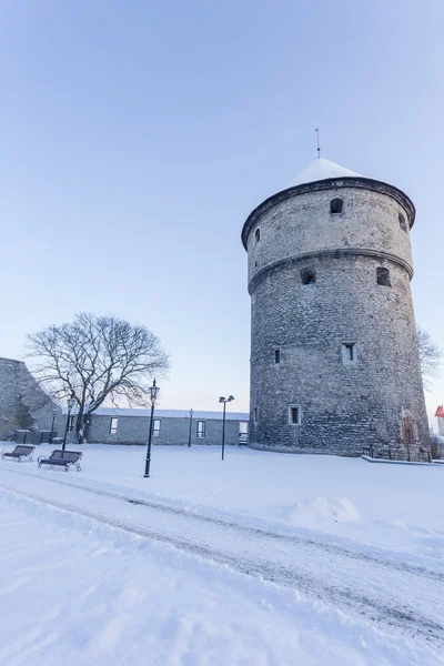 Vista de invierno de la torre Tallin, Estonia — Foto de Stock