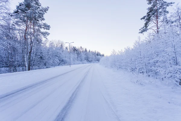 Bosco serale invernale con strada coperta di neve — Foto Stock