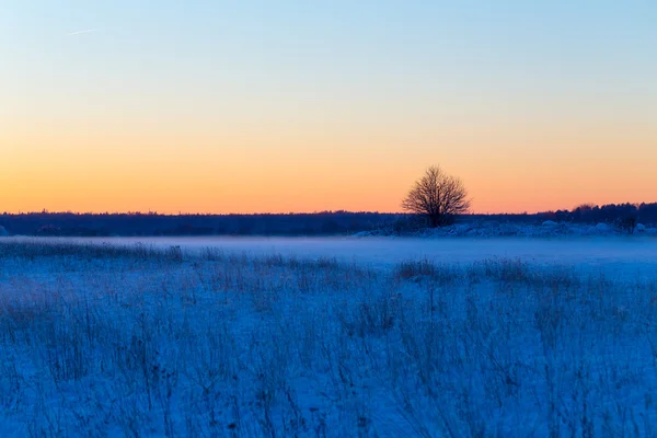 Winter van de besneeuwde landschap in avond — Stockfoto