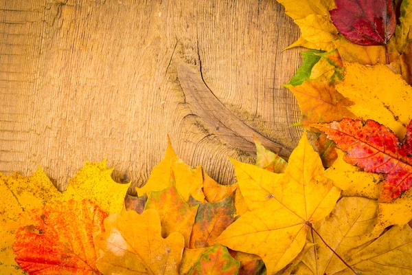 Nasses Herbstlaub — Stockfoto