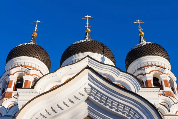 Alexander Nevskijs katedral — Stockfoto