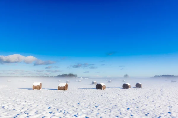 Winer landbouwgrond — Stockfoto