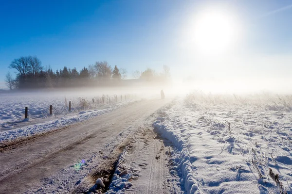 Mor och barn på dimmigt snö väg — Stockfoto