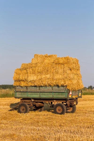 Straw hay bales on a trailer — Stock Photo, Image