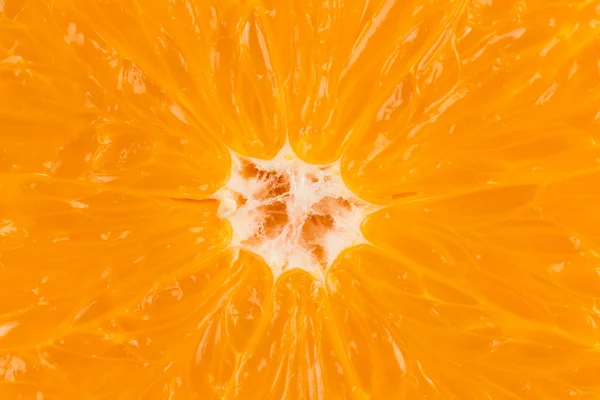 Orange marco shot — Stock Photo, Image